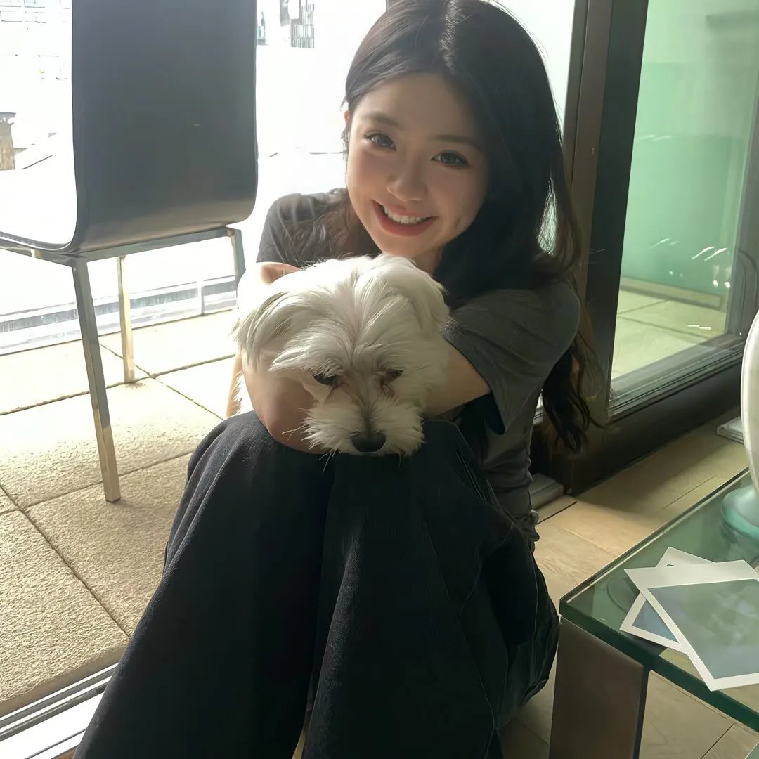 母胎单身恋爱大作战